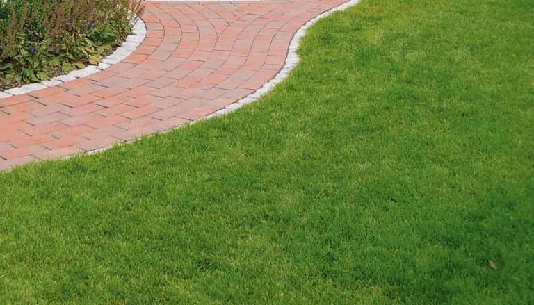 Rasen - S.R.T. Garten- und Landschaftsbau